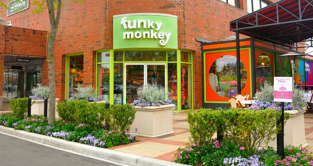 Funky Monkey Toys & Books