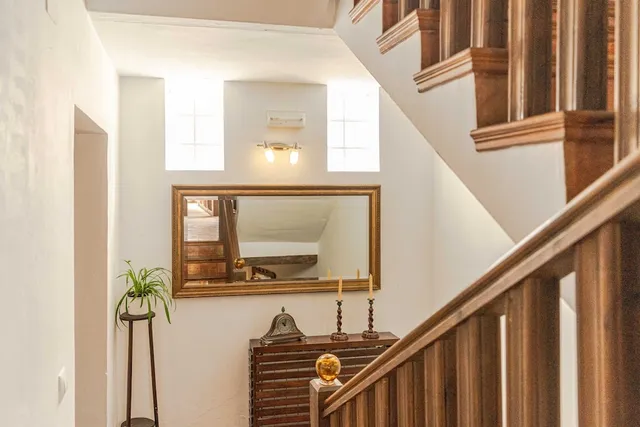 El secreto del olivo