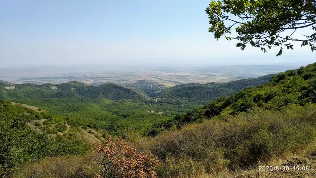 იუნკერთა მემორიალი