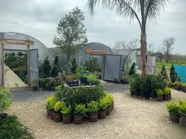 Jorge's Hidden Gardens