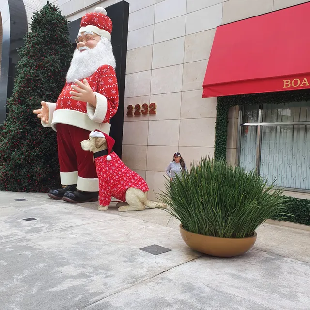 FIT - Shopping Iguatemi