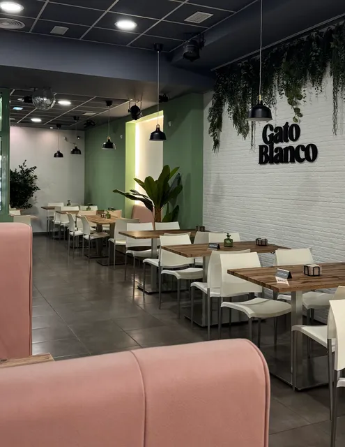 Gato Blanco Restaurante
