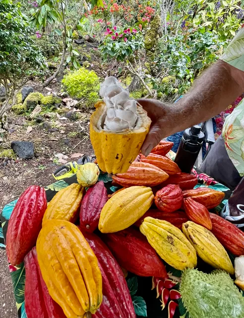 Kona Magic Chocolate