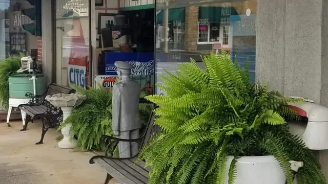 Mount Pilot Antiques