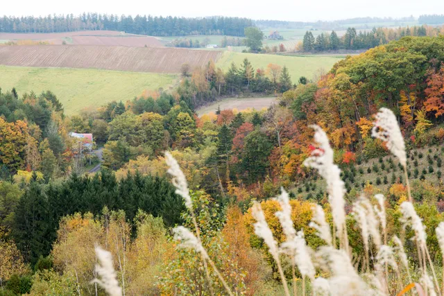 ノースランドギャラリー