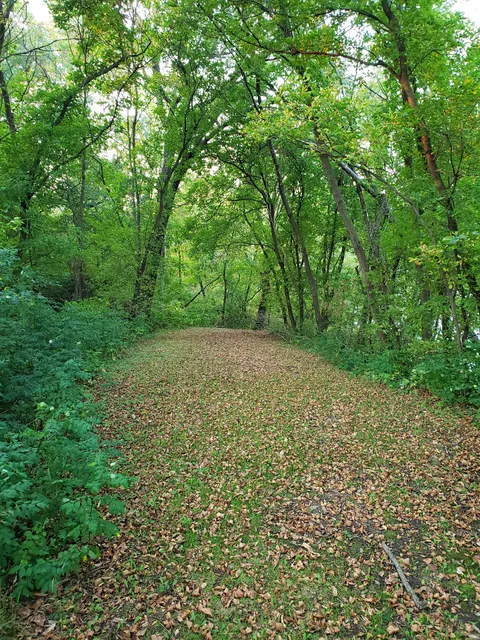 Spring Hill County Park