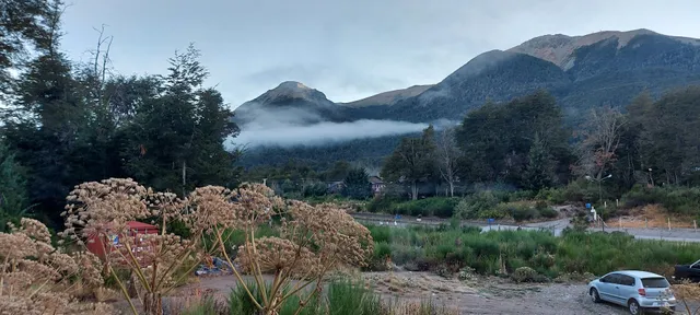 Angostura Apartments Centro