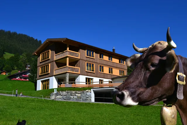 Ahorn Chalet Mittelberg