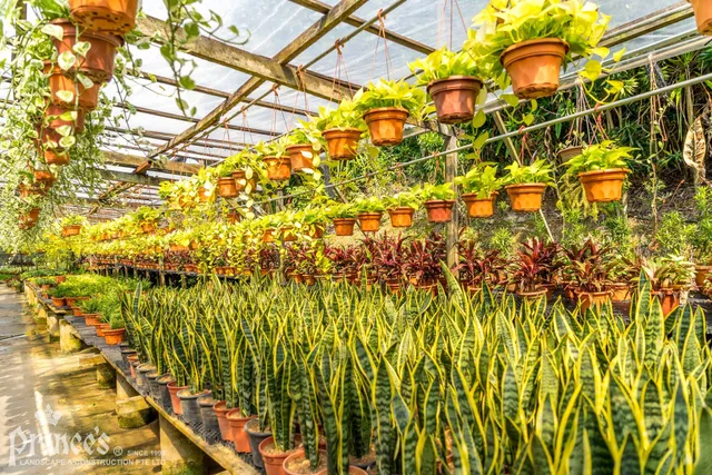 Prince's Landscape Pte Ltd