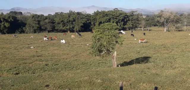 Cantina da Tia Lúcia