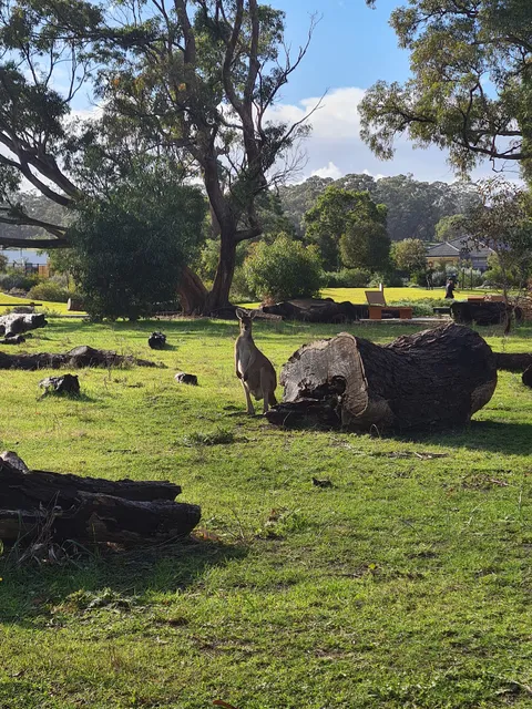 Lakelands Estate's Black Swan Lake Park - Peet