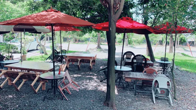 樹葡萄園庭園咖啡