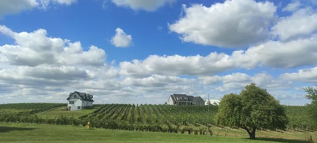 Niagara Weed and Wine Tours