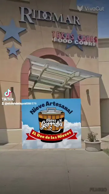 EL DON DE LAS NIEVES