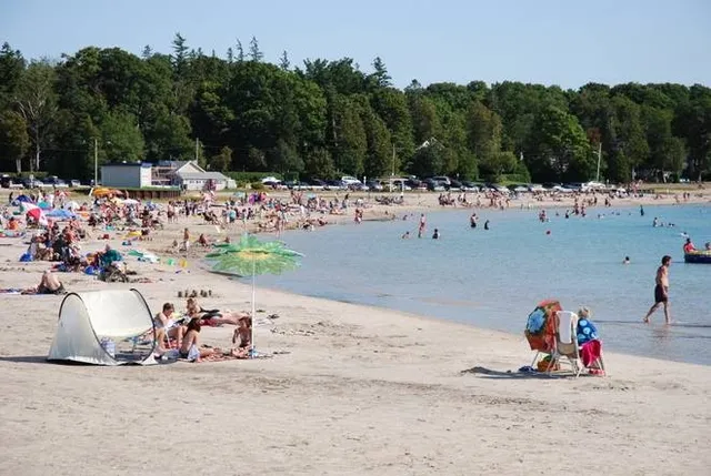 Backyard Family Cottages