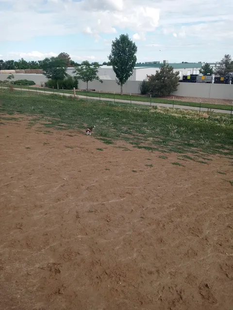 Bicentennial Park Off-Leash Dog Area