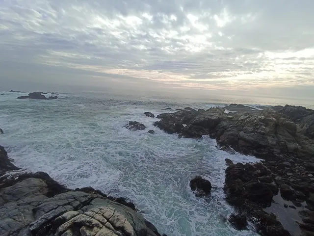 Flor de Viña Hostal