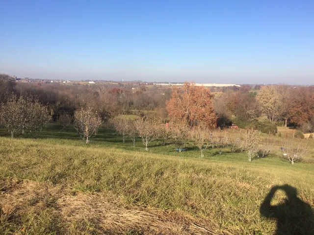 Taylor Family Orchard