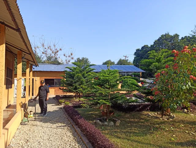 Cozy Restaurant & Bar