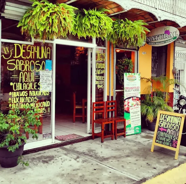 Natural Baguets y mas