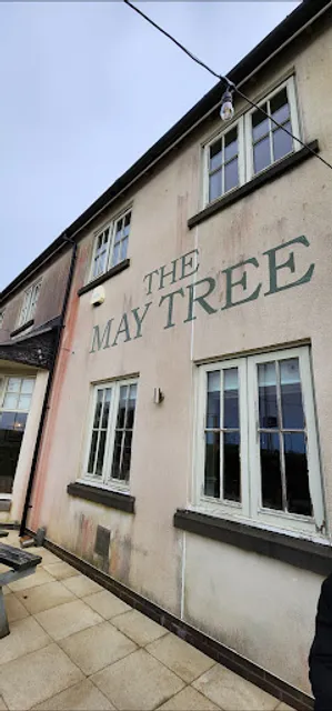 The May Tree