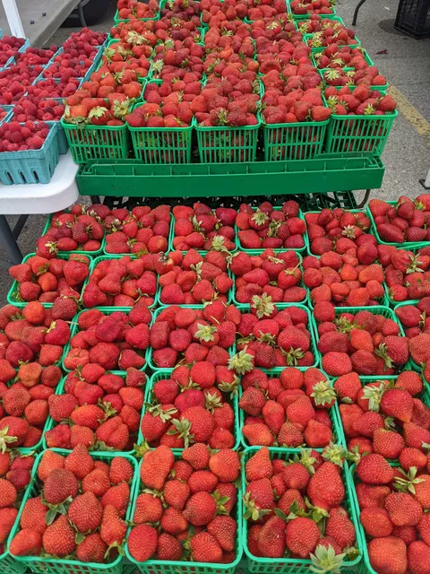 Grand Bend Village Farmers' Market