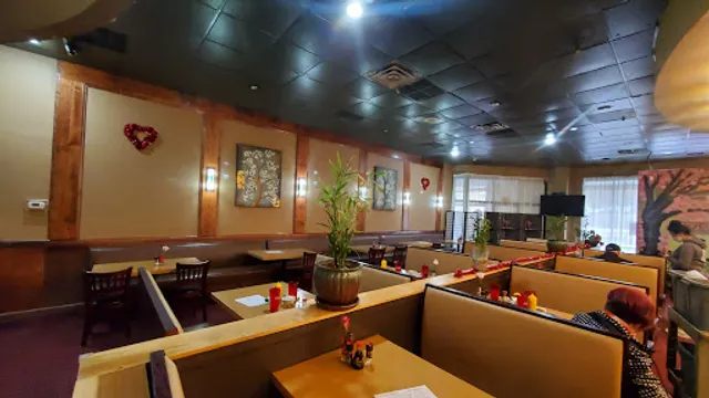 Moto Japanese Restaurant Stone Drive