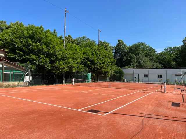 T.O.E.C TENNIS CLUB