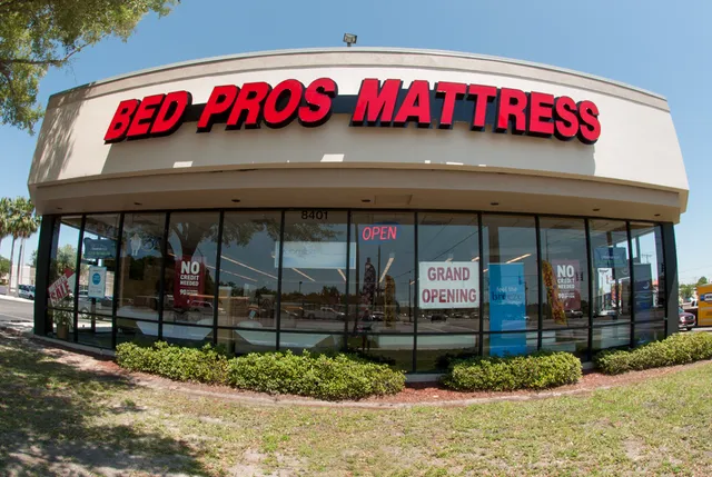 Mattress Warehouse of Tampa-Wesley Chapel
