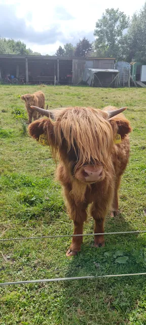 Ferienwohnungen Highlanderhof Kiene