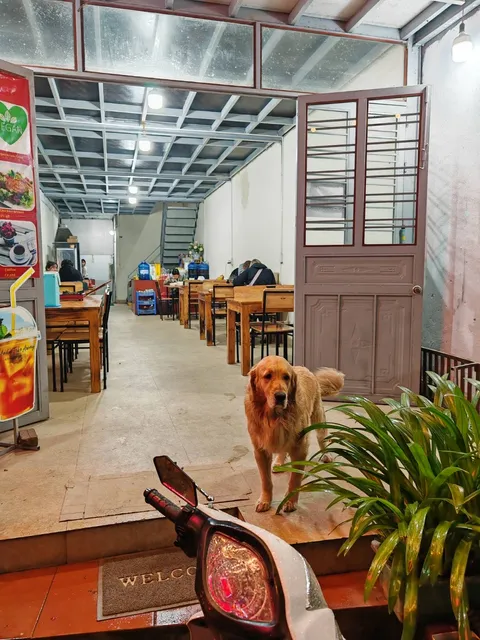 Andee Sapa Restaurant - Buffet Grill Hotpot and Vegan Food