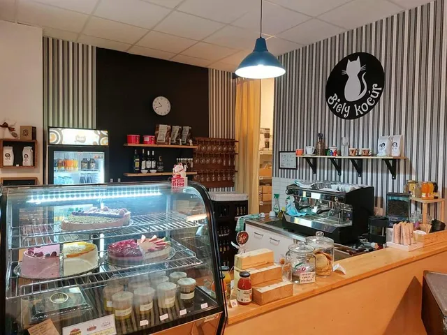 Kaviareň Biely kocúr