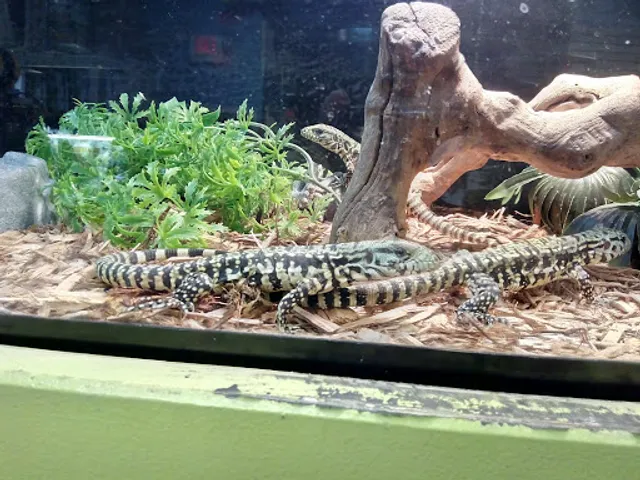 NJ Exotic Pets