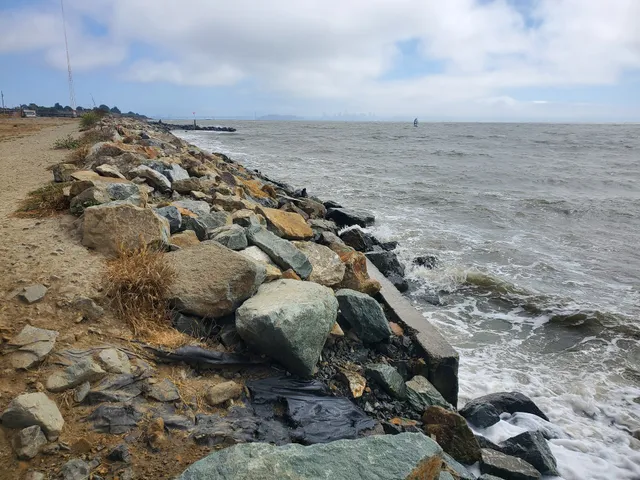 Point Isabel Dog Park