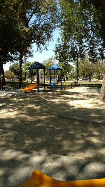 Shady Tree Playground