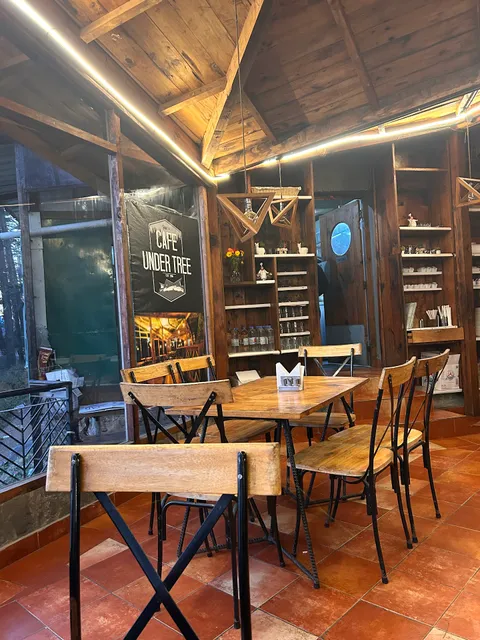 Cafe Under Tree