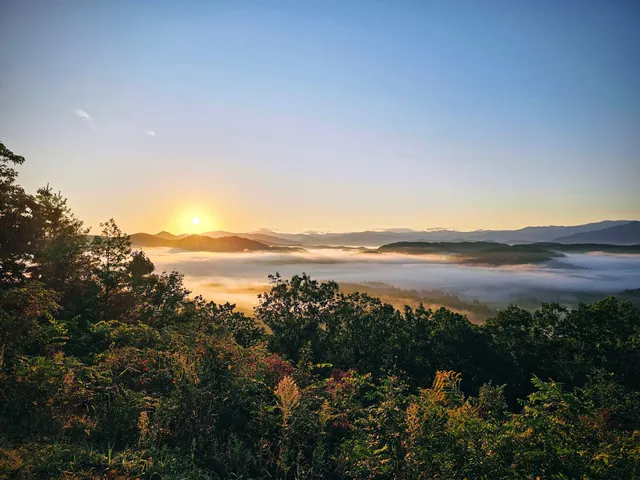 Dragon's Lair Cabin STR