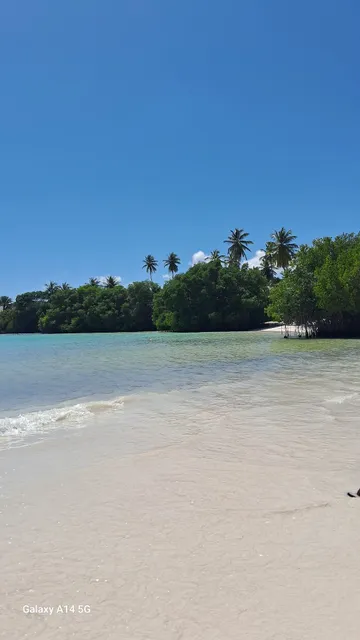 Punta cana baseball field
