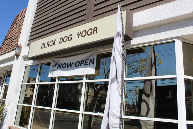 Black Dog Yoga