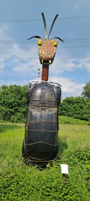 Hubertus Budde and Andrea Maas