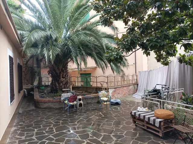 Boh & Boh a casa di Luca and his cats