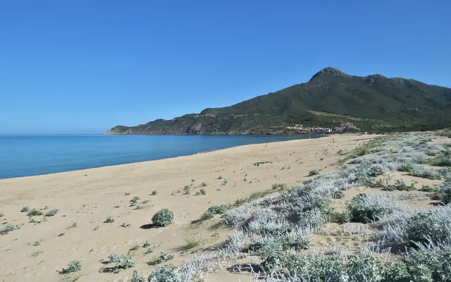 Spiaggia I Piccoli Pini (Spiaggia Is Compingieddus o Is Compinxeddus)