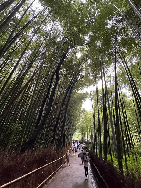 Arashiyama