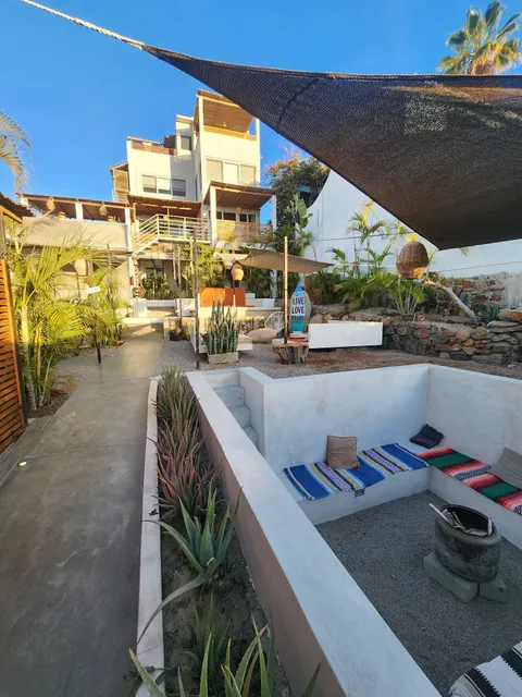 Co Working Perro Surfero Todos Santos