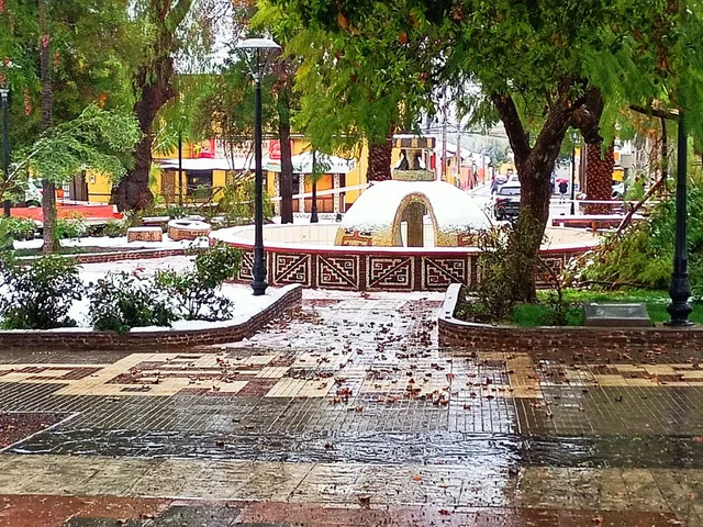 Hostal Restaurante Alto Algarrobal