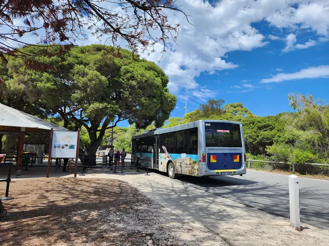 Quokka Coaches