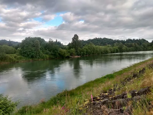 Cowlitz River
