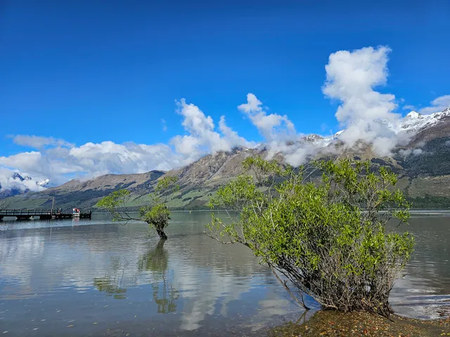 The Willow Trees of Glenorchy