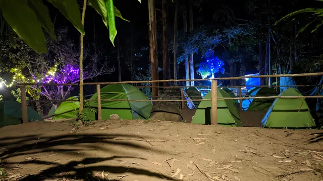 Suryanelli jungle camp munnar