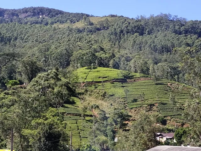 The Dragon Arch (Makara Thorana) | මකර තොරණ හැටන් පාර